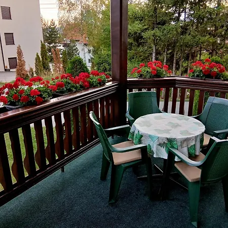 Zlatiborski Biser Apartment *